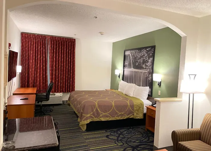 Super 8 By Wyndham Worth Downtown South Hotel