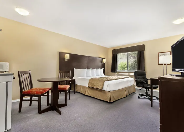 Super 8 By Wyndham Worth Downtown South