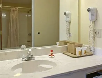 Super 8 By Wyndham Worth Downtown South